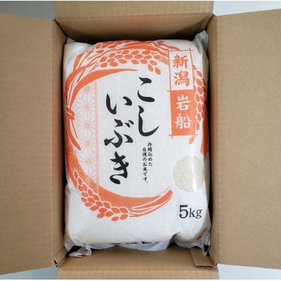 【新米受付・令和7年産米】 こしいぶき 白米5kg(5kg×1袋)新潟県村上市岩船産1067101N