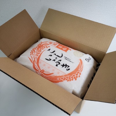 【新米受付・令和7年産米】こしいぶき 白米10kg(5kg×2袋)新潟県村上市岩船産1067103N