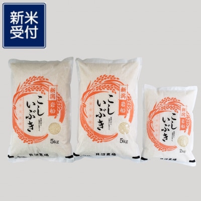 【新米受付・令和7年産米】 こしいぶき 白米12kg 新潟県村上市岩船産　1067104N