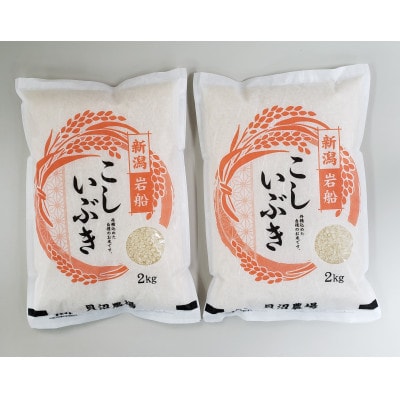新米【令和7年産米】こしいぶき 白米4kg(2kg×2) 新潟県村上市岩船産　1067100
