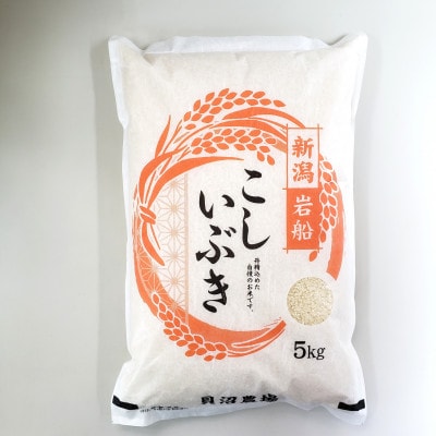 新米【令和7年産米】こしいぶき 白米5kg(5kg×1) 新潟県村上市岩船産　1067101