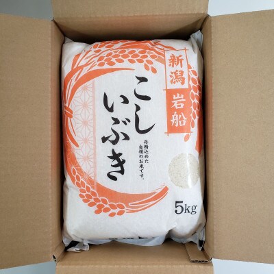 新米【令和7年産米】こしいぶき 白米5kg(5kg×1) 新潟県村上市岩船産　1067101