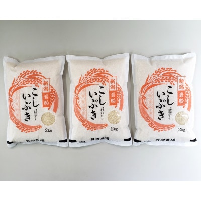 新米【令和7年産米】こしいぶき 白米6kg(2kg×3) 新潟県村上市岩船産　1067102