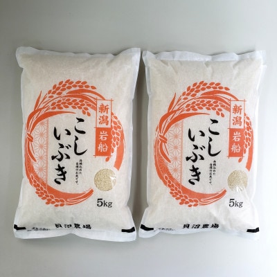 新米【令和7年産米】こしいぶき 白米10kg(5kg×2) 新潟県村上市岩船産　1067103