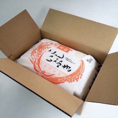 新米【令和7年産米】こしいぶき 白米10kg(5kg×2) 新潟県村上市岩船産　1067103