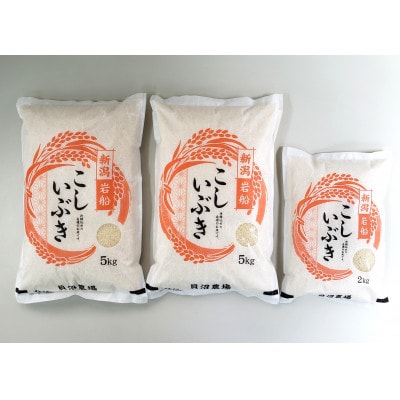 新米【令和7年産米】こしいぶき白米12kg(5kg×2、2kg×1)新潟県村上市岩船産1067104