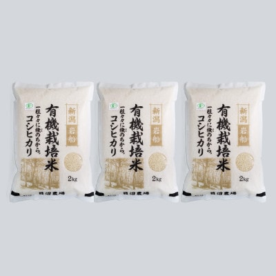 【令和7年産米】有機栽培米コシヒカリ 白米6kg(2kg×3袋) 新潟県村上市岩船産 1067150