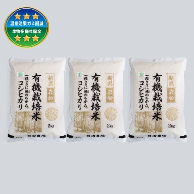 【令和7年産米】有機栽培米コシヒカリ 白米6kg(2kg×3袋) 新潟県村上市岩船産 1067150