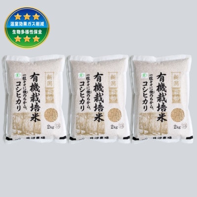 【令和7年産米】有機栽培米コシヒカリ 玄米6kg(2kg×3) 新潟県村上市岩船産 1067152