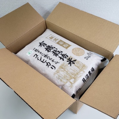 【令和7年産米】有機栽培米コシヒカリ 玄米6kg(2kg×3) 新潟県村上市岩船産 1067152