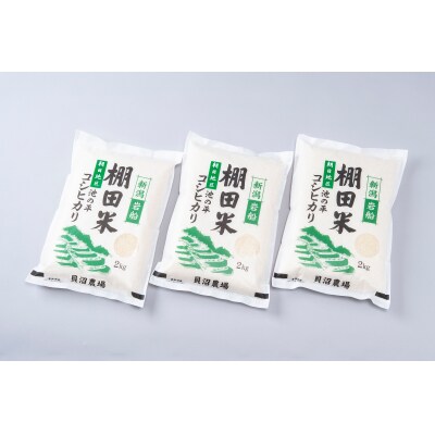 【発送月固定定期便】新潟県岩船産【棚田米コシヒカリ】6kg全3回