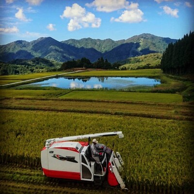 【発送月固定定期便】新潟県岩船産【棚田米コシヒカリ】6kg全6回