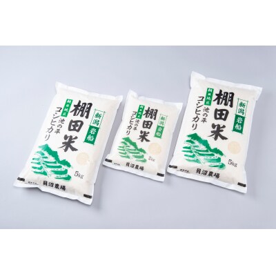 【発送月固定定期便】新潟県岩船産【棚田米コシヒカリ】12kg全7回