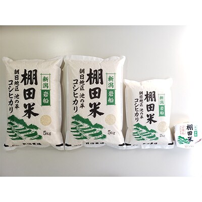 【毎月定期便】新潟県岩船産【棚田米コシヒカリ】12kg+ パックごはん(150g×1個)全2回