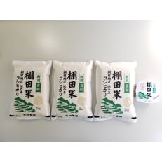 【毎月定期便】新潟県岩船産【棚田米コシヒカリ】6kg+ パックごはん(150g&times;1個)全4回