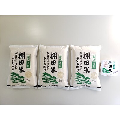 【毎月定期便】新潟県岩船産【棚田米コシヒカリ】6kg+ パックごはん(150g×1個)全7回