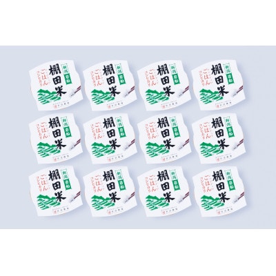 【毎月定期便】棚田米コシヒカリのパックごはん(150g×12個)全2回