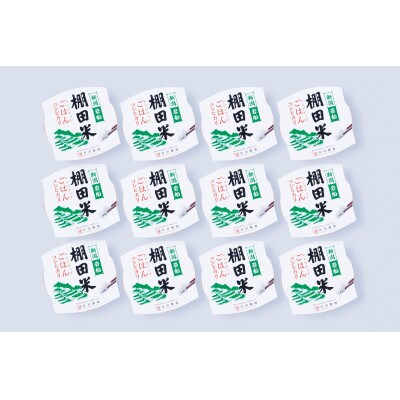 【毎月定期便】棚田米コシヒカリのパックごはん(150g×12個)全4回