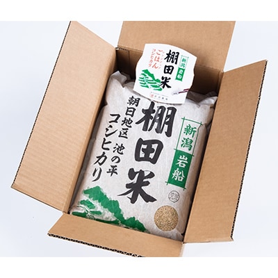 【毎月定期便】新潟県岩船産【棚田米】コシヒカリ玄米10kg+ パックごはん(150g×1個)全6回