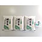 【毎月定期便】新潟県岩船産【棚田米コシヒカリ】6kg+ パックごはん(150g×1個)　全3回