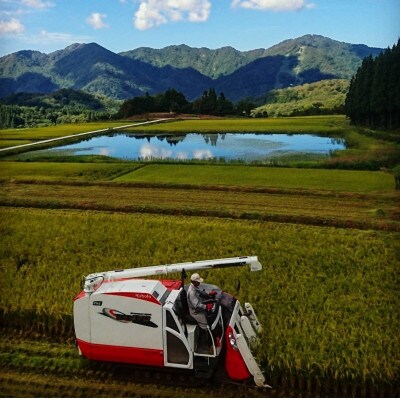 【毎月定期便】新潟県岩船産【棚田米コシヒカリ】6kg+ パックごはん(150g×1個)　全6回
