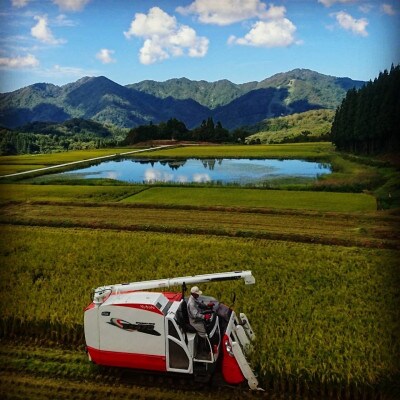 【毎月定期便】新潟県岩船産【棚田米コシヒカリ】のパックごはん(150g×12個)　全10回