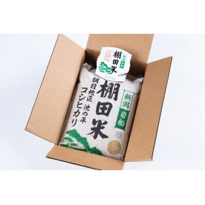 【毎月定期便】新潟県岩船産【棚田米】コシヒカリ玄米10kg+ パックごはん(150g×1個)　全6回