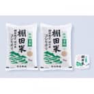 【毎月定期便】新潟県岩船産【棚田米】コシヒカリ玄米10kg+ パックごはん(150g×1個)　全7回