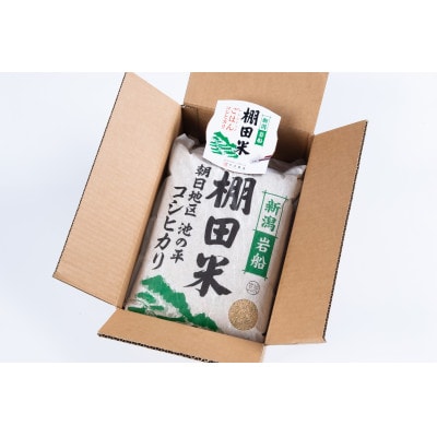 【毎月定期便】新潟県岩船産【棚田米】コシヒカリ玄米10kg+ パックごはん(150g×1個)　全9回
