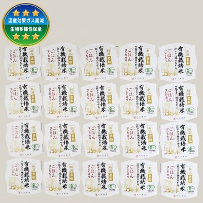 【毎月定期便】【有機栽培米】新潟県岩船産コシヒカリのパックごはん(150g×20個)　全12回