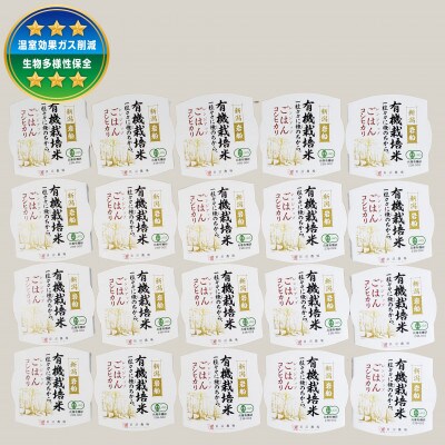【毎月定期便】【有機栽培米】新潟県岩船産コシヒカリのパックごはん(150g×20個)　全7回