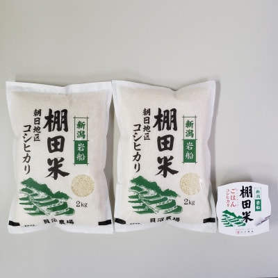 【毎月定期便】新潟県岩船産【棚田米コシヒカリ】4kg+パックごはん(150g×1個)　全3回
