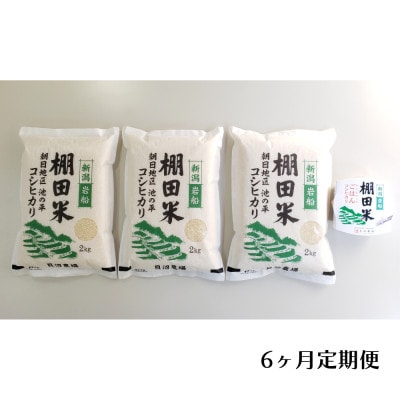 【毎月定期便】棚田米コシヒカリ(精米) 6kg+パックごはん 1個 [115]全6回