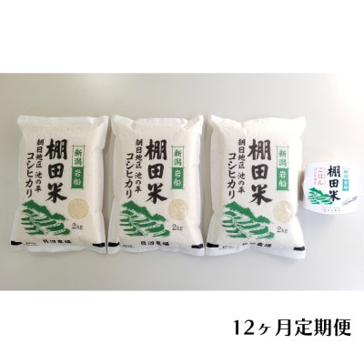 【毎月定期便】棚田米コシヒカリ(精米) 6kg+パックごはん 1個 [147]全12回