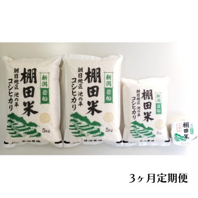 【毎月定期便】棚田米コシヒカリ(精米) 12kg+パックごはん 1個 [118]全3回