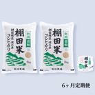 【毎月定期便】棚田米コシヒカリ(玄米) 10kg+パックごはん 1個 [127]全6回