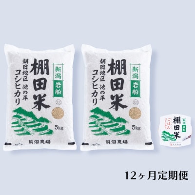 【毎月定期便】棚田米コシヒカリ(玄米) 10kg+パックごはん 1個 [128]全12回