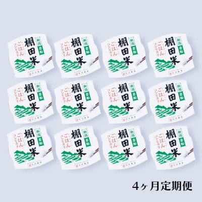 【毎月定期便】新潟県村上市岩船産 棚田米コシヒカリのパックごはん 12個 [131]全4回