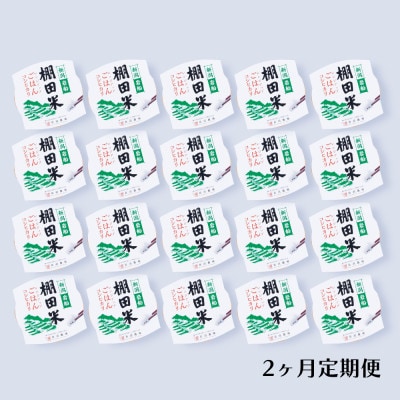 【毎月定期便】新潟県村上市岩船産 棚田米コシヒカリのパックごはん 20個 [135]全2回
