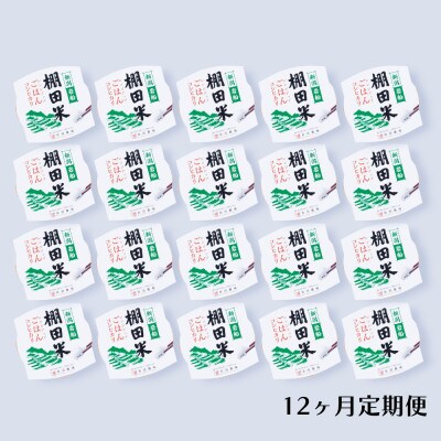 【毎月定期便】新潟県村上市岩船産 棚田米コシヒカリのパックごはん 20個 [140]全12回