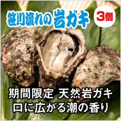 【夏季限定!】【数量限定】新潟県村上産 天然 殻付き 岩ガキ L3個 計約1kg　生食 冷蔵