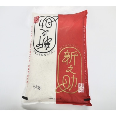 【令和6年産米】特別栽培米 村上市岩船産 新之助 精米 5kg　1029001