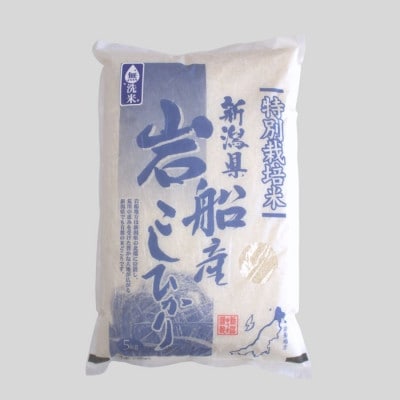 新米【令和7年産米】【無洗米】特別栽培米 新潟県村上市岩船産 コシヒカリ 5kg 1029005