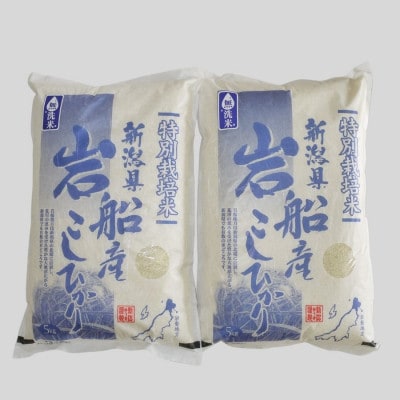 新米【令和7年産米】【無洗米】特別栽培米 新潟県村上市岩船産 コシヒカリ 10kg 1029006