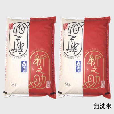 【令和7年産米】【無洗米】特別栽培米 新潟県村上市岩船産 新之助 10kg 1029008