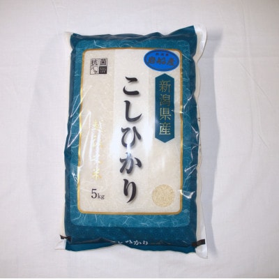 【令和7年産米】新潟県村上市岩船産 コシヒカリ 5kg 1029009