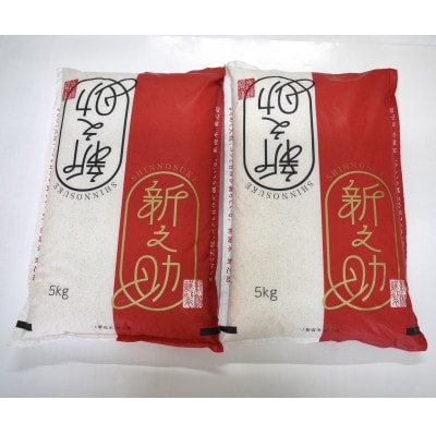 【令和7年産米】新潟県村上市 岩船産 新之助 10kg(5kg×2袋)1029012