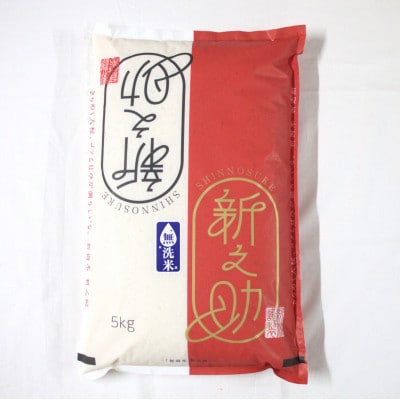 【令和7年産米】【無洗米】新潟県村上市 岩船産 新之助 5kg 1029013