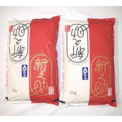 【令和7年産米】【無洗米】新潟県村上市 岩船産 新之助 10kg(5kg×2袋)1029014