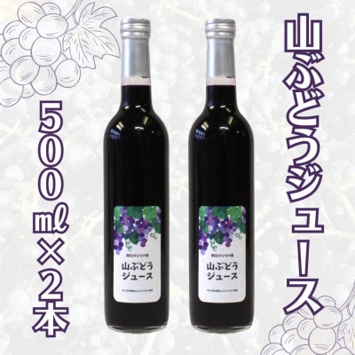 【数量限定】山ぶどうジュース500ml×2本セット　1030002